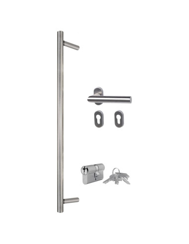 Porta Ingresso Antracite 100x200 cm in Alluminio e PVC