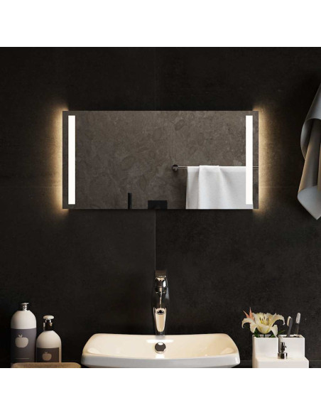 Specchio da Bagno con Luci LED 60x30 cm