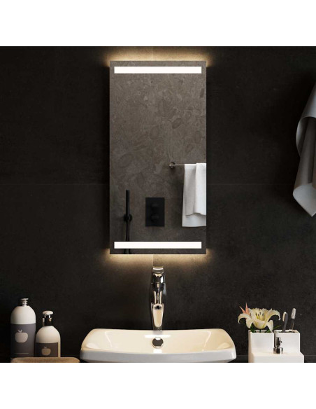 Specchio da Bagno con Luci LED 30x60 cm