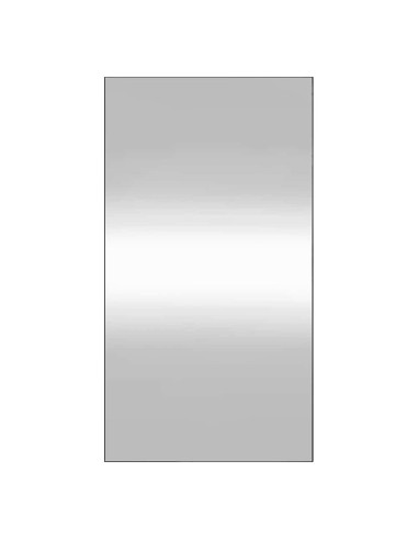 Specchio da Parete 50x100 cm Vetro Rettangolare
