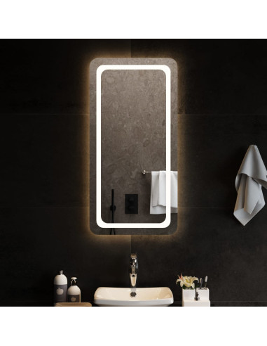 Specchio da Bagno con Luci LED 50x100 cm