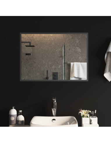 Specchio da Bagno con Luci LED 50x70 cm