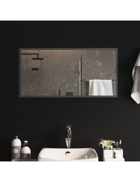 Specchio da Bagno con Luci LED 40x80 cm