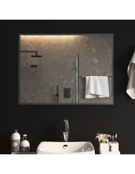 Specchio da Bagno con Luci LED 60x80 cm