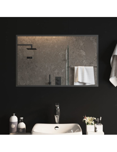 Specchio da Bagno con Luci LED 50x80 cm