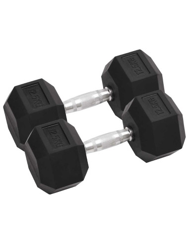 Manubri 2 pz 25 kg Totale in Ghisa