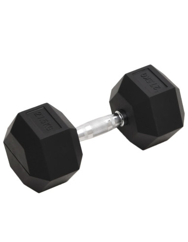 Manubrio 27,5 kg Ghisa