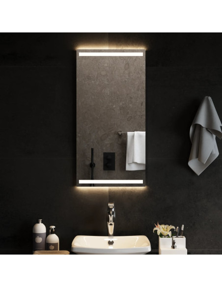 Specchio da Bagno con Luci LED 40x80 cm