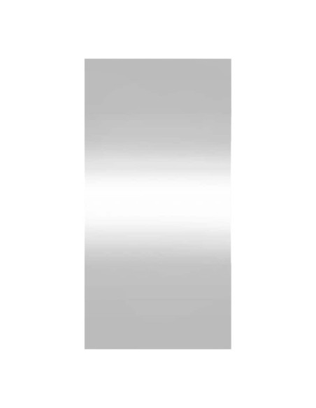 Specchio da Parete 40x80 cm Vetro Rettangolare