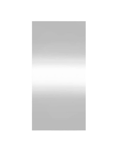 Specchio da Parete 30x60 cm Vetro Rettangolare
