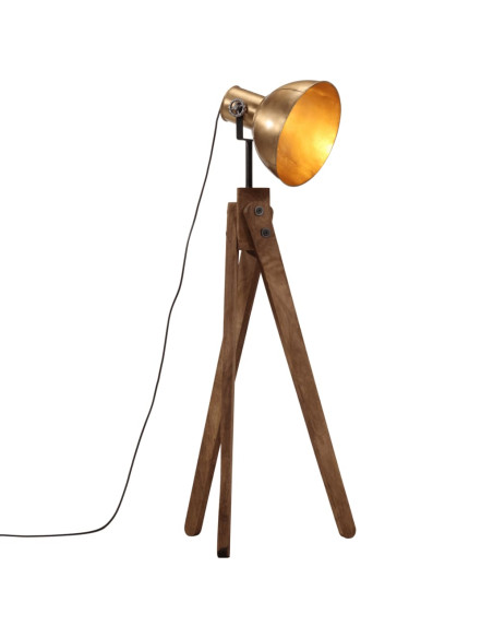 Lampada da Terra 25 W Ottone Anticato 45x45x120 cm E27