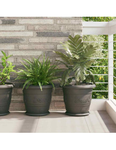 Vassoio Rotondo per Fiori 24 pcs Nero Ø 23,5 x 2,5 cm Plastica