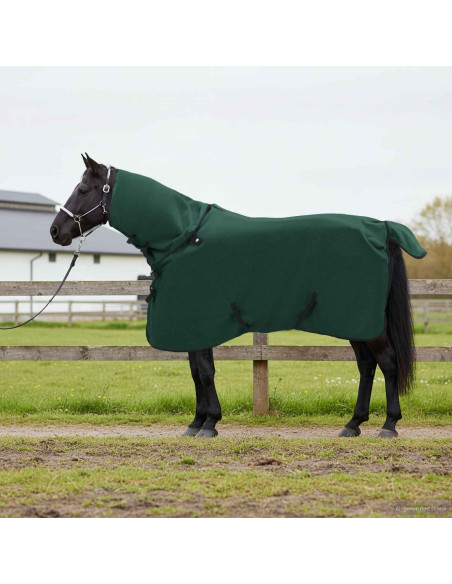 Coperta per Cavalli Verde scuro completo Poliestere