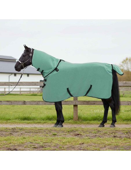 Coperta per Cavalli Verde speciale Poliestere