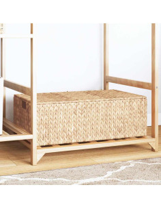 Scatola di Stoccaggio Naturale 60 x 38 x 20 cm Giacinto d'acqua