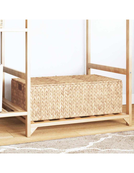 Scatola di Stoccaggio Naturale 60 x 38 x 20 cm Giacinto d'acqua