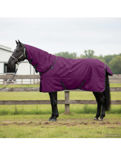 Coperta per Cavalli Verde Scuro e Nero 165 cm Poliestere