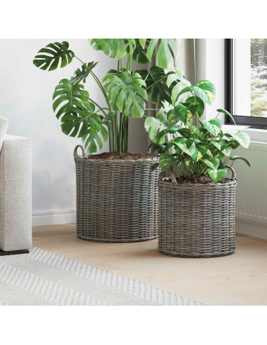 Cestino per piante con archiviazione 2 pcs Grigio Rattan Lacak