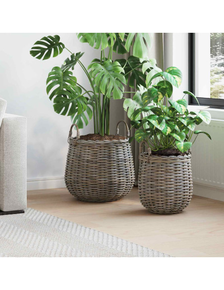 Cestino per piante con archiviazione 2 pcs Grigio Rattan Lacak