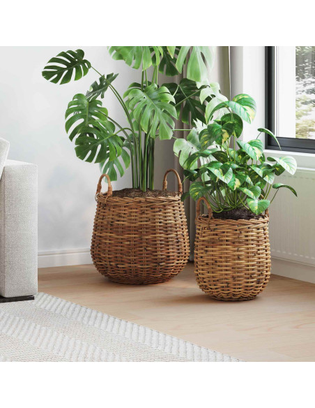 Cestino per piante con archiviazione 2 pcs Marrone Rattan Lacak