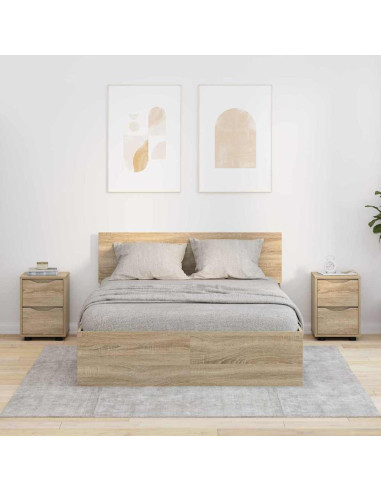 Comodini con cassetto 2 pcs Rovere Sonoma 30,5 x 30 x 43 cm