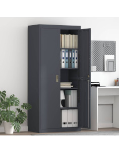 Armadio 2 pcs Antracite 80 x 40 x 180 cm Acciaio