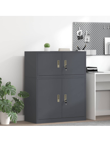 Armadio Antracite 90 x 40 x 40 cm Acciaio