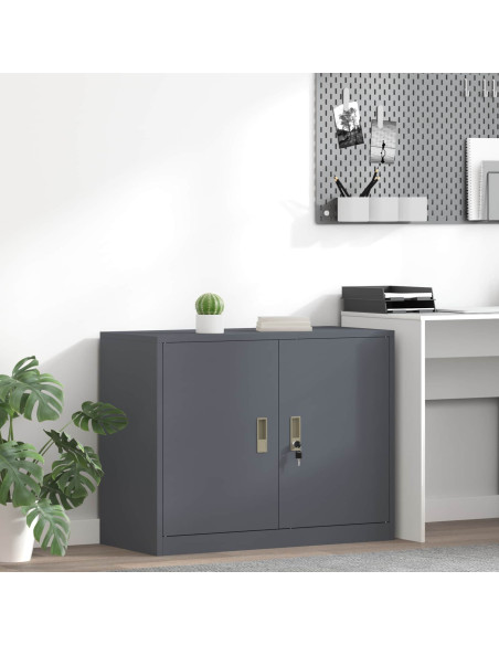 Armadio Antracite 90 x 40 x 70 cm Acciaio