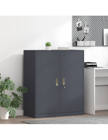 Armadio Antracite 90 x 40 x 105 cm Acciaio