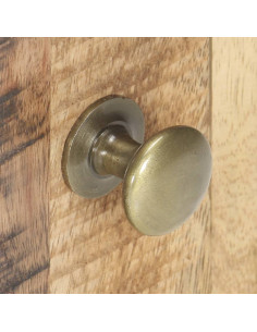 Comodino 40x30x50 cm in Legno di Mango Grezzo