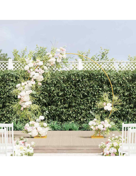 Arco Nuziale Oro 220 x 45 x 200 cm Acciaio