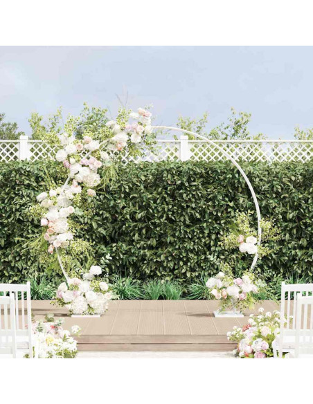 Arco Nuziale Bianco 220 x 45 x 200 cm Acciaio