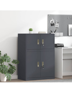 Armadio Antracite 80 x 40 x 40 cm Acciaio