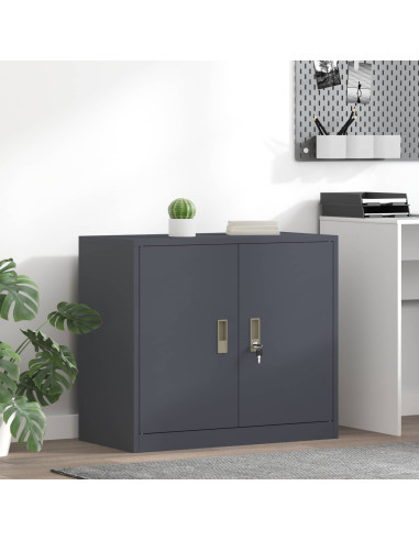 Armadio Antracite 80 x 40 x 70 cm Acciaio