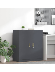 Armadio Antracite 80 x 40 x 90 cm Acciaio