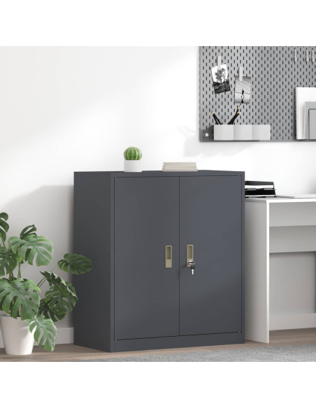 Armadio Antracite 80 x 40 x 90 cm Acciaio