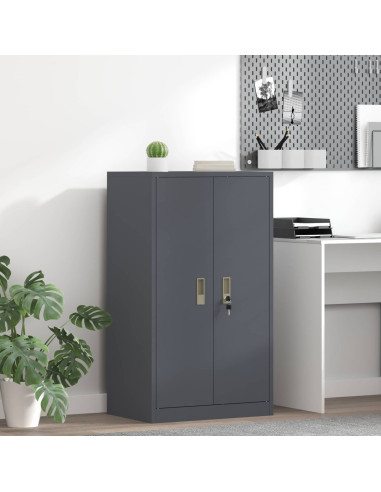 Armadio Antracite 60 x 40 x 105 cm Acciaio