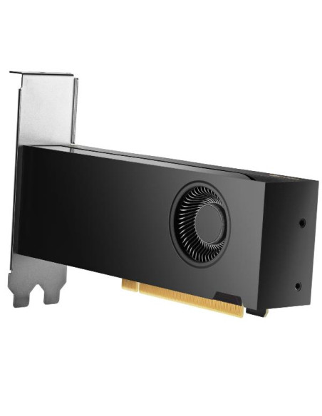 HP NVIDIA RTX PH x2xxx 4mDP Graphics