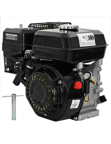 Motore a Benzina Nero 6,5 HP 4,8 kW