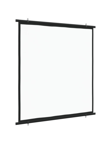 Schermo di Proiezione 63" 1:1