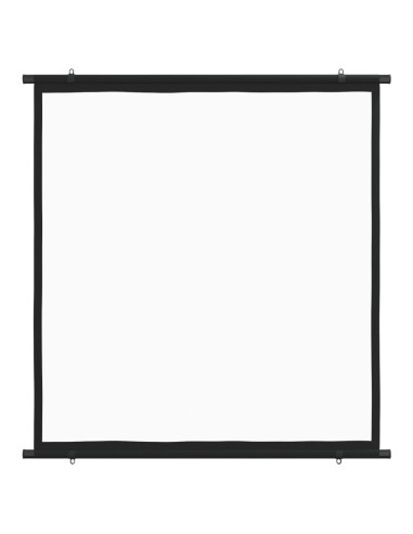 Schermo di Proiezione 63" 1:1