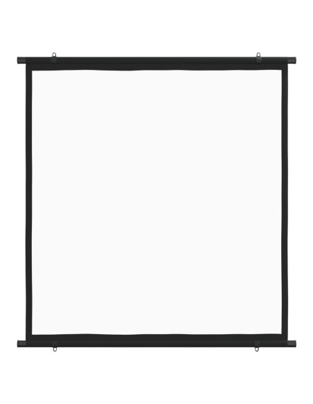 Schermo di Proiezione 63" 1:1