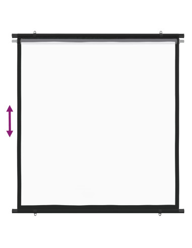 Schermo di Proiezione 63" 1:1