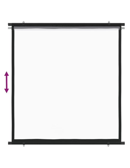 Schermo di Proiezione 63" 1:1