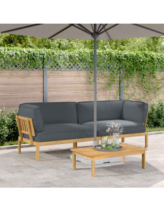 Set di divani 2 pcs Antracite Legno di Acacia Massello