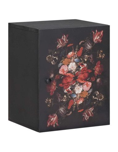 Armadio pensile con archiviazione Multicolore 38 x 33,5 x 48 cm