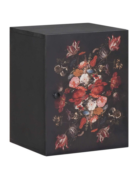 Armadio pensile con archiviazione Multicolore 38 x 33,5 x 48 cm