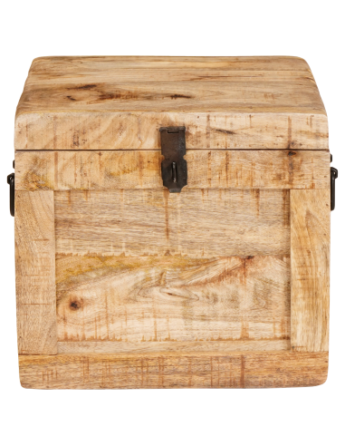 Scatola di Stoccaggio con porta Marrone Legno di mango massello