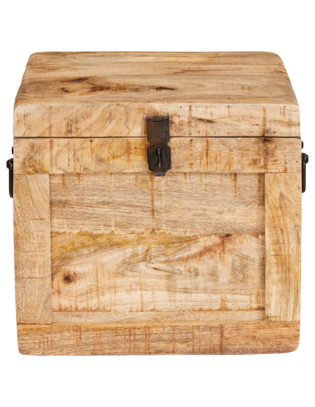 Scatola di Stoccaggio con porta Marrone Legno di mango massello