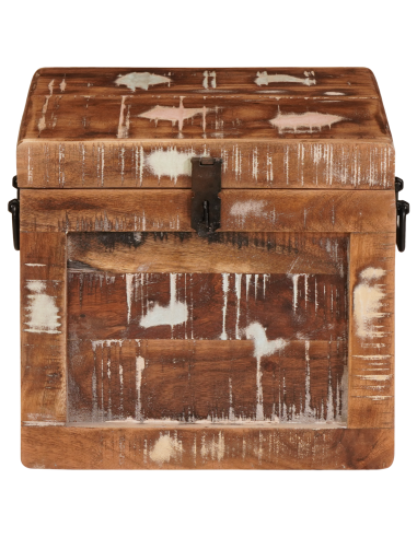 Scatola di Stoccaggio con porta Marrone Legno di mango massello